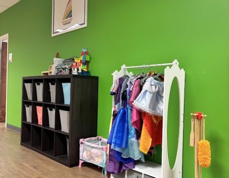 Pretend Play in Autism Therapy Clinic