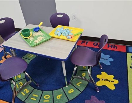 Autism Support for Children in Shamokin Dam, PA