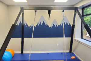 Occupational Therapy Room