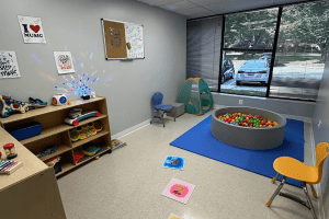 Individual Therapy Room in Columbia, MD