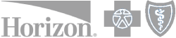 Horizon logo