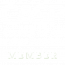 CASP logo